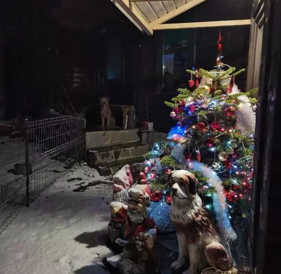 Pensiunea Izvorul Bucuriei