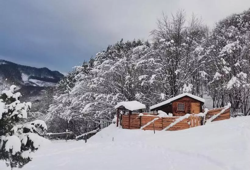 Pensiunea Izvorul Bucuriei