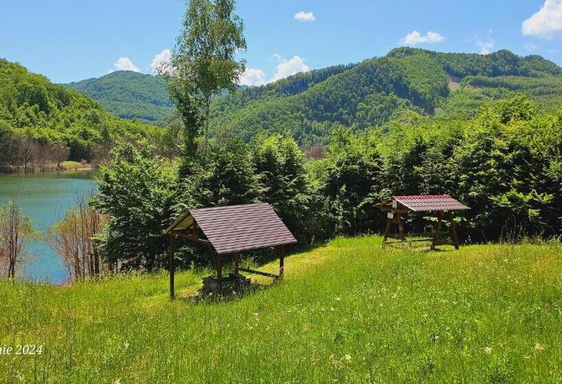 Pensiunea Izvorul Bucuriei