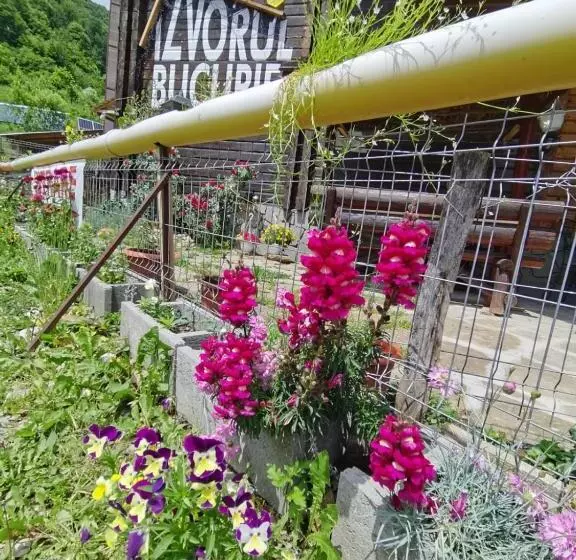 Pensiunea Izvorul Bucuriei