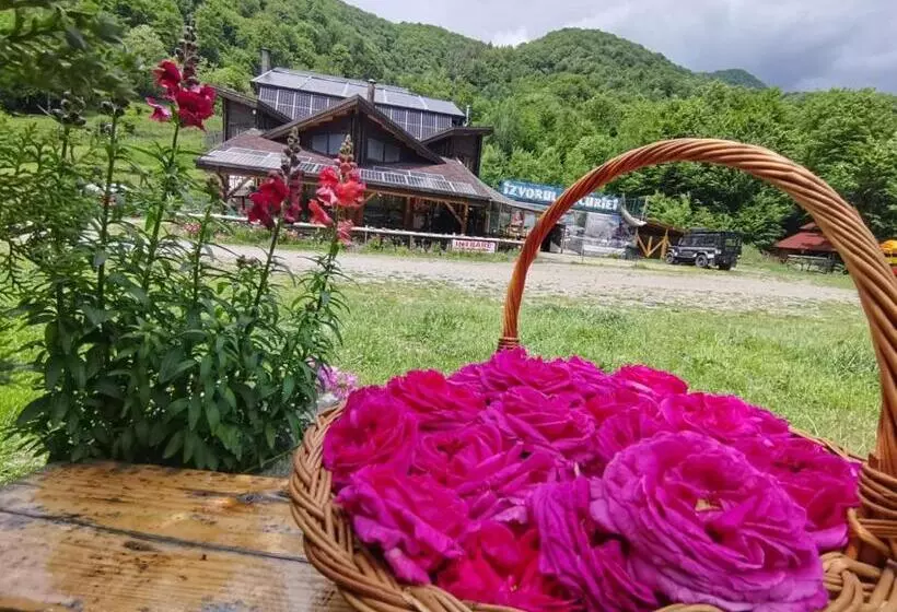 Pensiunea Izvorul Bucuriei