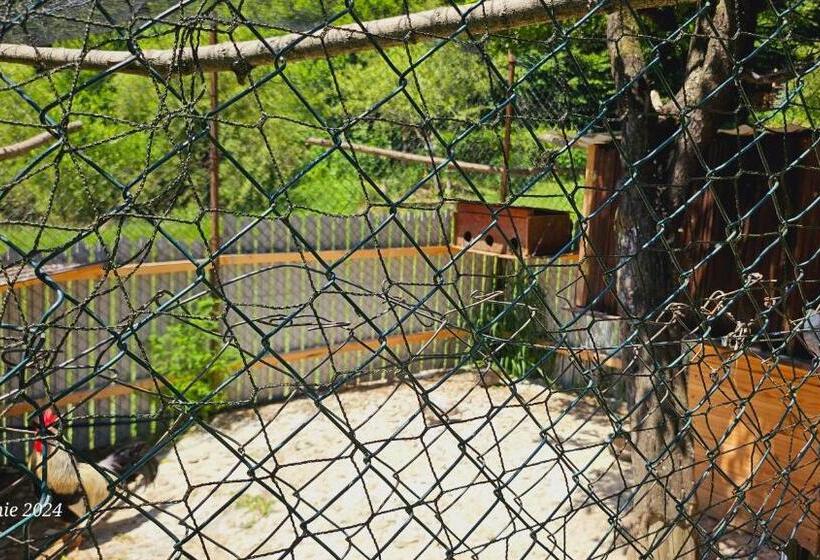 Pensiunea Izvorul Bucuriei