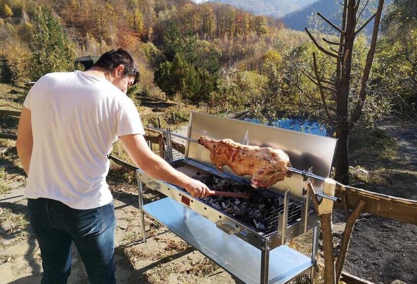 Pensiunea Izvorul Bucuriei