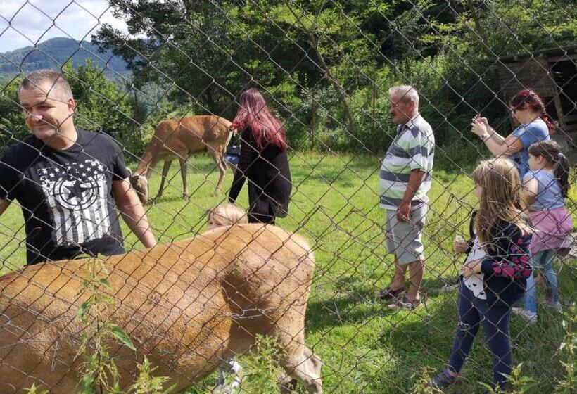 Pensiunea Izvorul Bucuriei