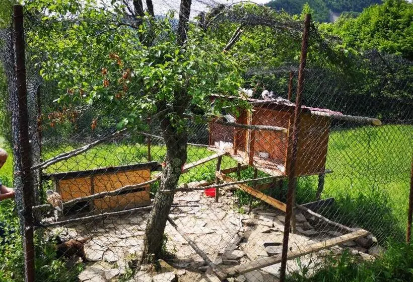 Pensiunea Izvorul Bucuriei