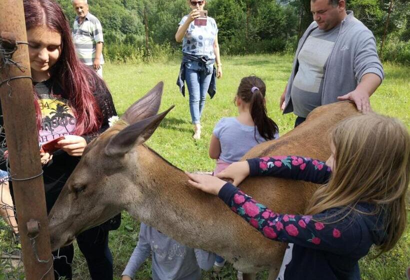 Pensiunea Izvorul Bucuriei