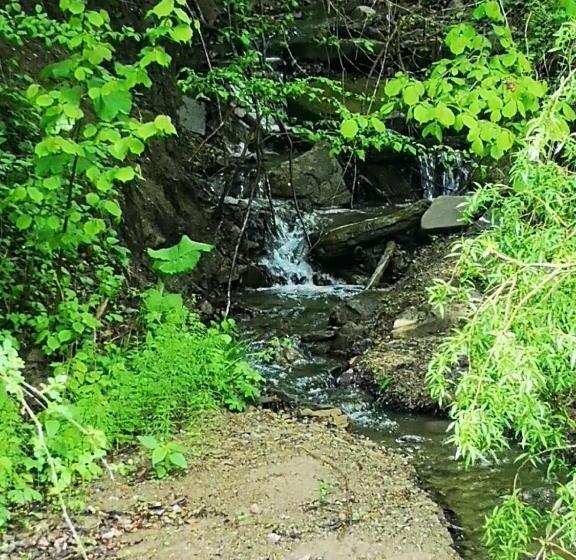 Pensiunea Izvorul Bucuriei