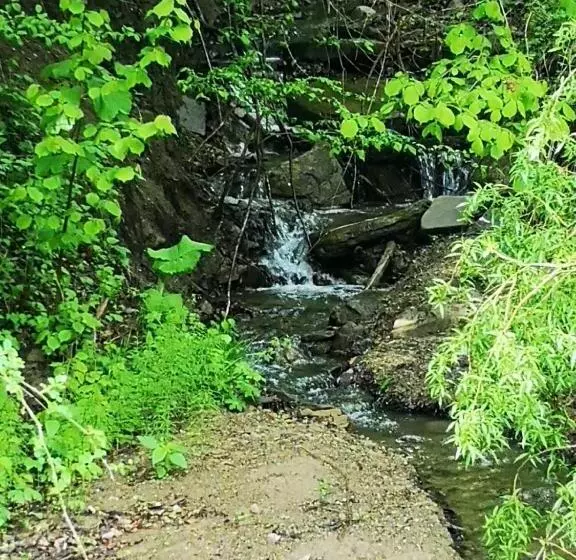 Pensiunea Izvorul Bucuriei