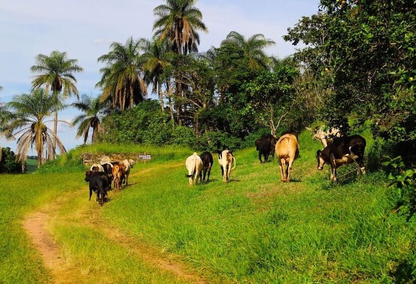 Porto Fazenda Hotel   Pensão Completa