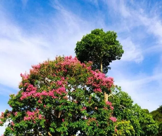 Porto Fazenda Hotel   Pensão Completa