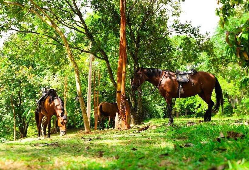Porto Fazenda Hotel   Pensão Completa