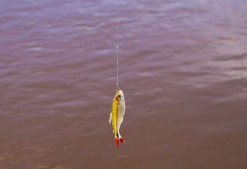 Porto Fazenda Hotel   Pensão Completa