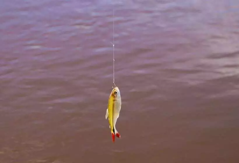 Porto Fazenda Hotel   Pensão Completa