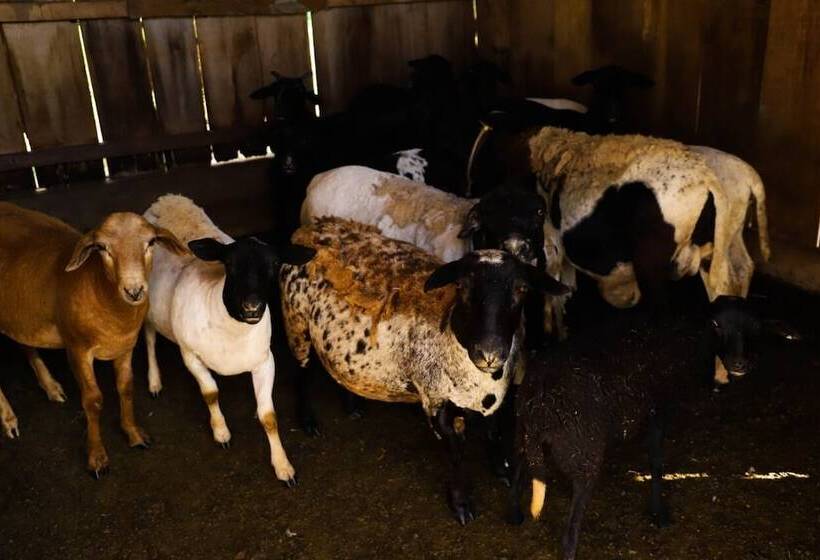 Porto Fazenda Hotel   Pensão Completa