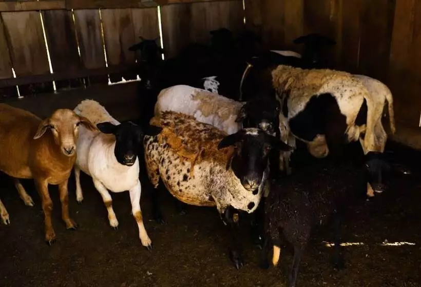 Porto Fazenda Hotel   Pensão Completa