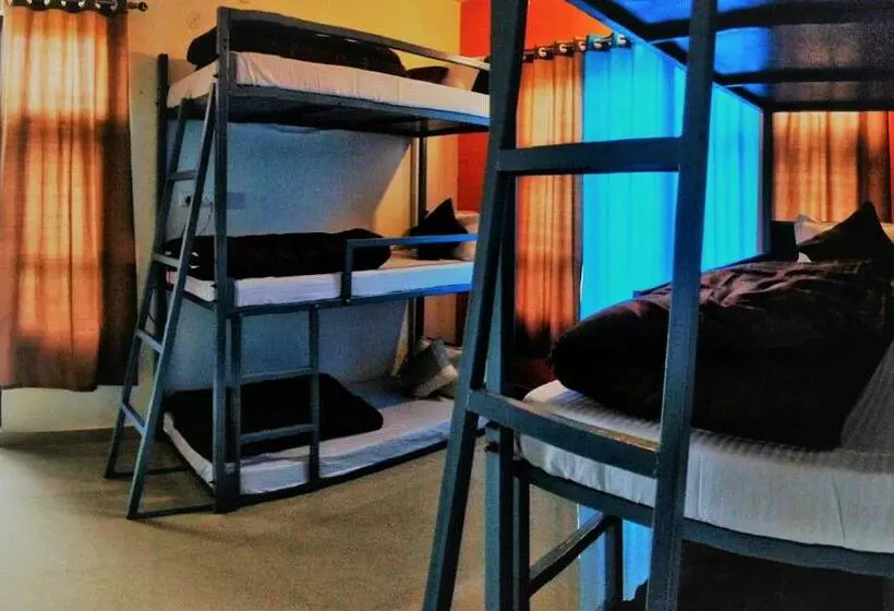 ユースホステル The Bunker Bir