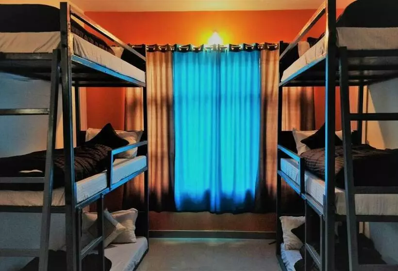 ユースホステル The Bunker Bir