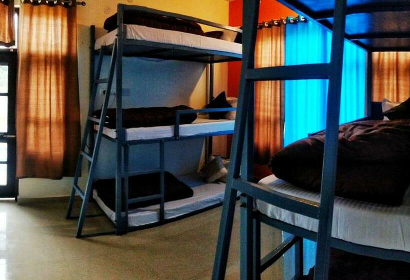 Общежитие The Bunker Bir