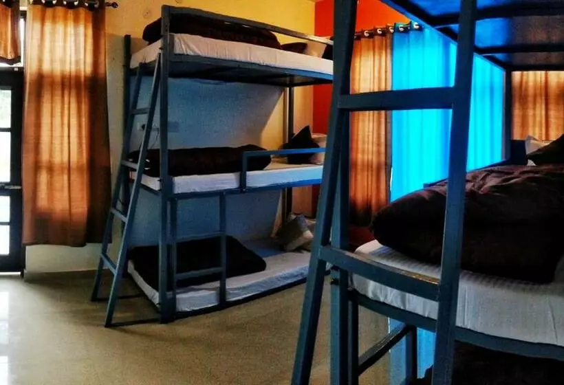 ユースホステル The Bunker Bir