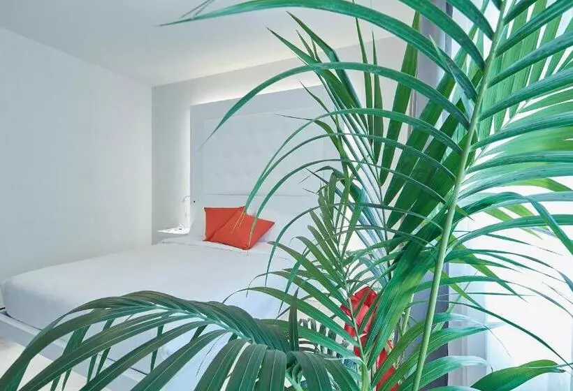 B&b Via Roma 25