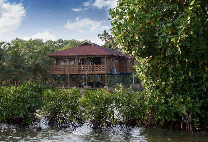 בית מלון כפרי Vinis Farm   A Private Island Stay  Privacy Redefined !!!