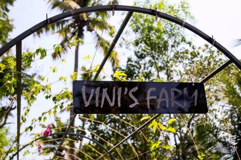 Hotelli Vinis Farm A Private Island Stay Privacy Redefined !!!