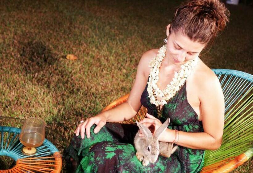 בית מלון כפרי Vinis Farm   A Private Island Stay  Privacy Redefined !!!