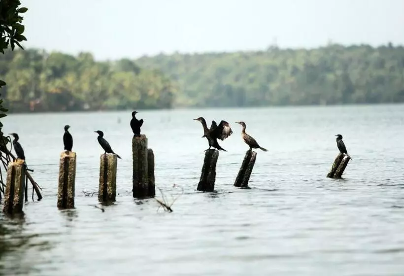 Hotelli Vinis Farm A Private Island Stay Privacy Redefined !!!