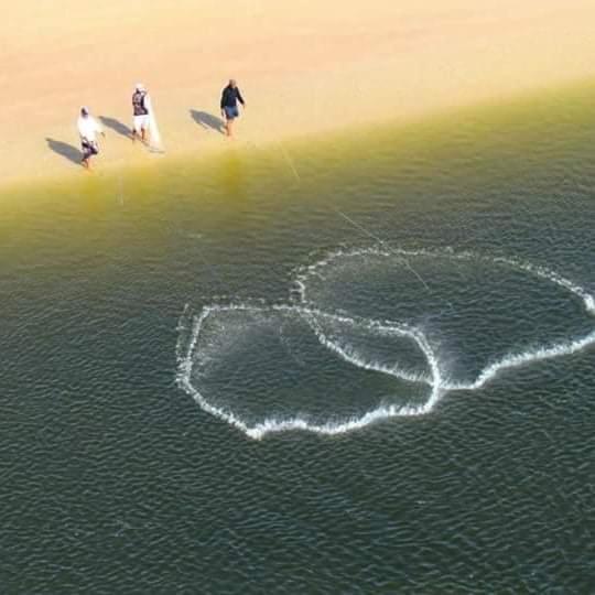 Пансион Embaú Mar Ecocasa Morada Canto Verde Guarda Do Embaú Sc Brasil