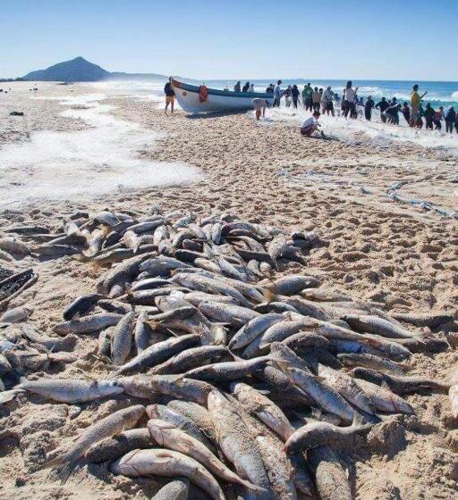 Пансион Embaú Mar Ecocasa Morada Canto Verde Guarda Do Embaú Sc Brasil