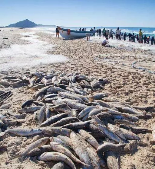 Majatalo Embaú Mar   Ecocasa Morada Canto Verde   Guarda Do Embaú Sc   Brasil