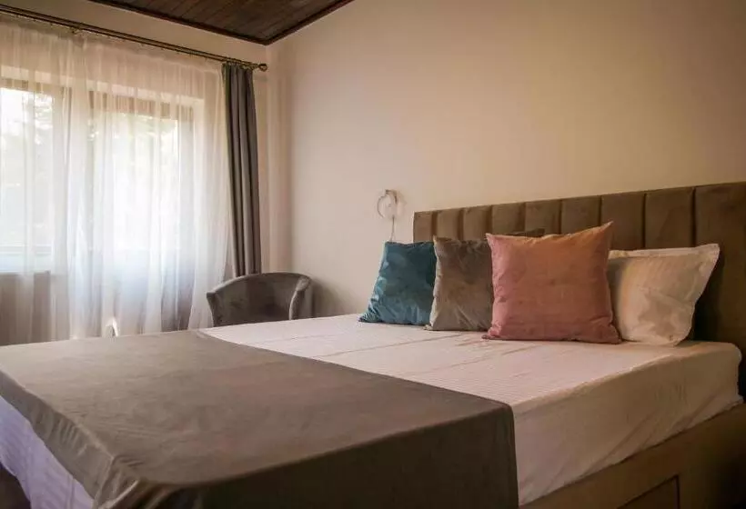 ペンション Vila Smaranda