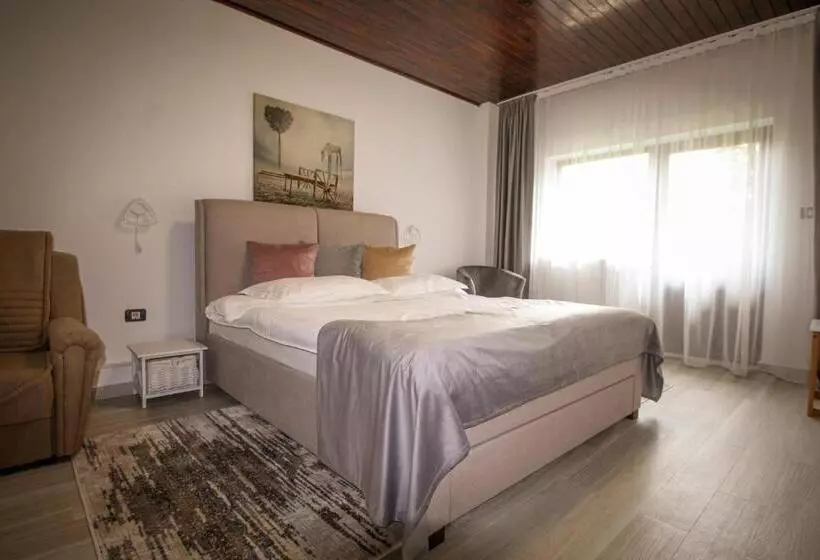 ペンション Vila Smaranda