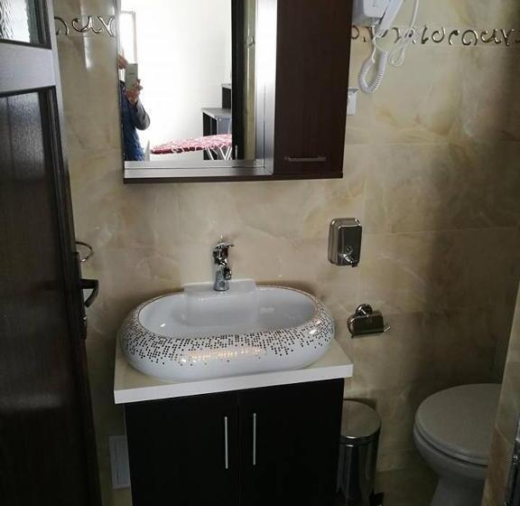 פנסיון Vila Teju Valeni