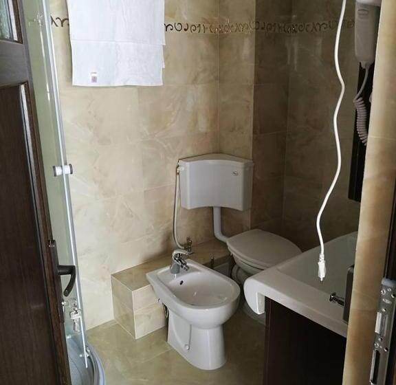 פנסיון Vila Teju Valeni