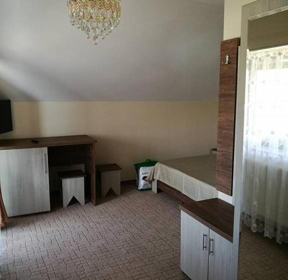 פנסיון Vila Teju Valeni