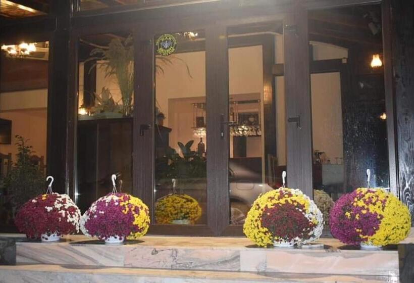 פנסיון Vila Teju Valeni