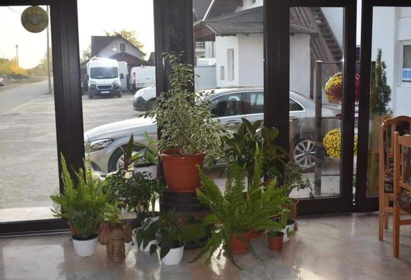 פנסיון Vila Teju Valeni