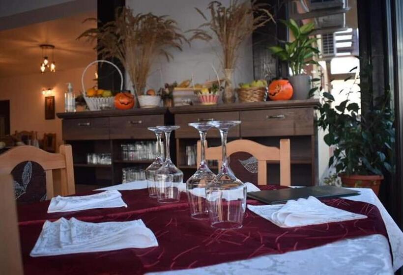 פנסיון Vila Teju Valeni