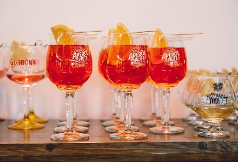 פנסיון Vila Teju Valeni