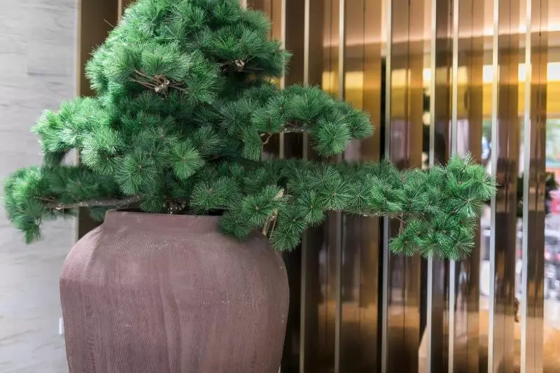 هتل Ji  Shanghai Changshou Road Metro Station