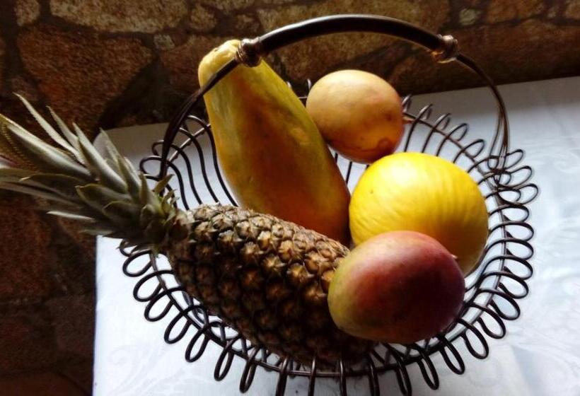 펜션 Pousada Venerando