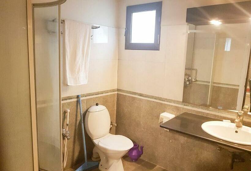 Pensió Shelton Accamodator