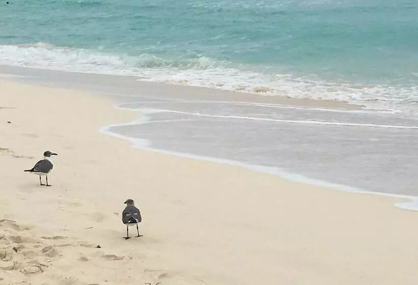 Cancun Plaza   Best Beach