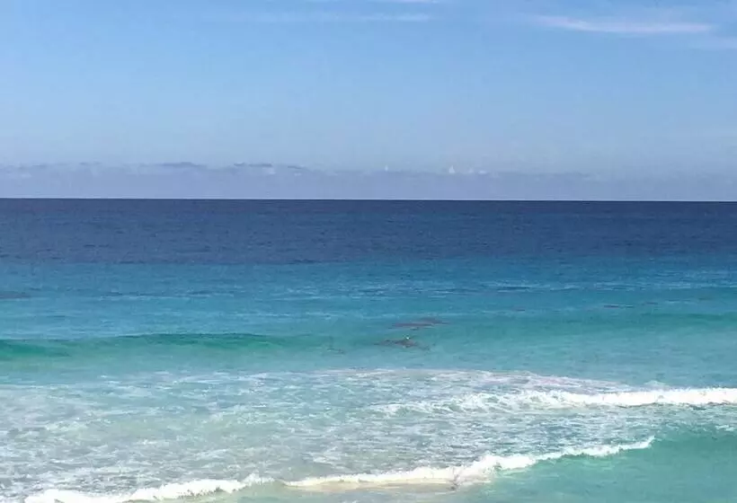 Cancun Plaza   Best Beach