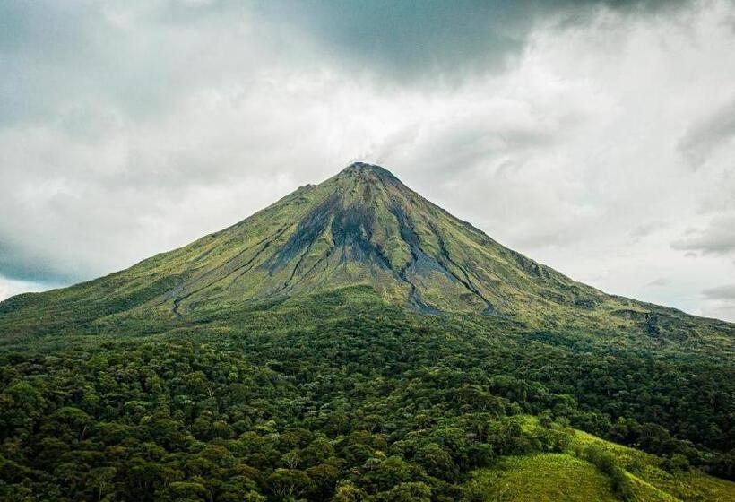 ホテル Arenal Kioro Suites & Spa