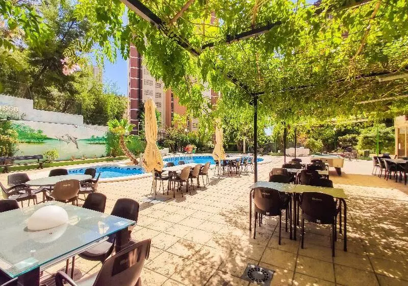 Picasso Fincas Benidorm