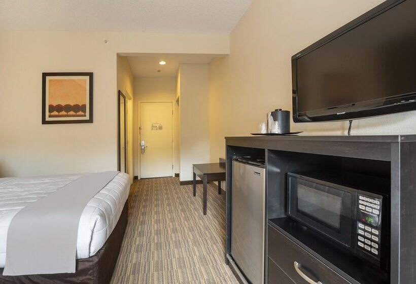 هتل Baymont By Wyndham Houston North