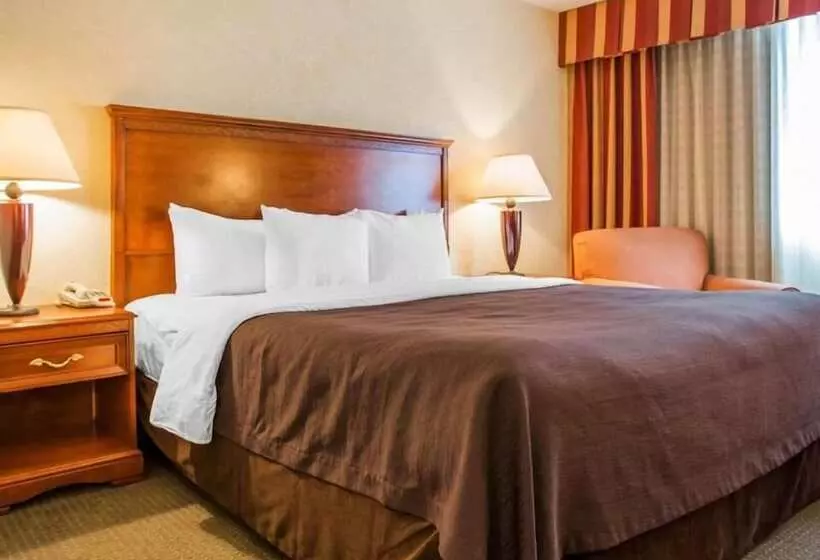 ホテル Budgetel Inn & Suites Atlanta