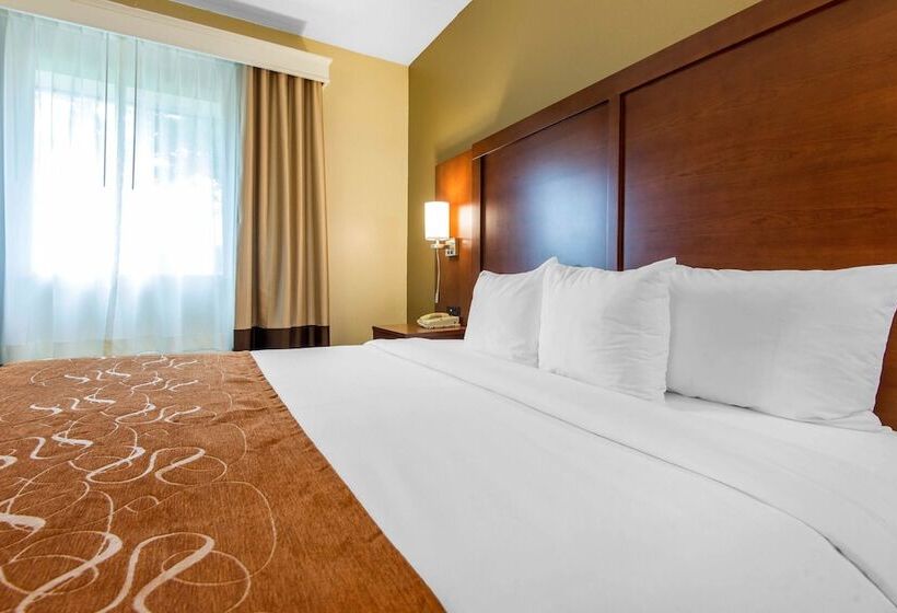 فندق Comfort Suites Rochester Henrietta University Area